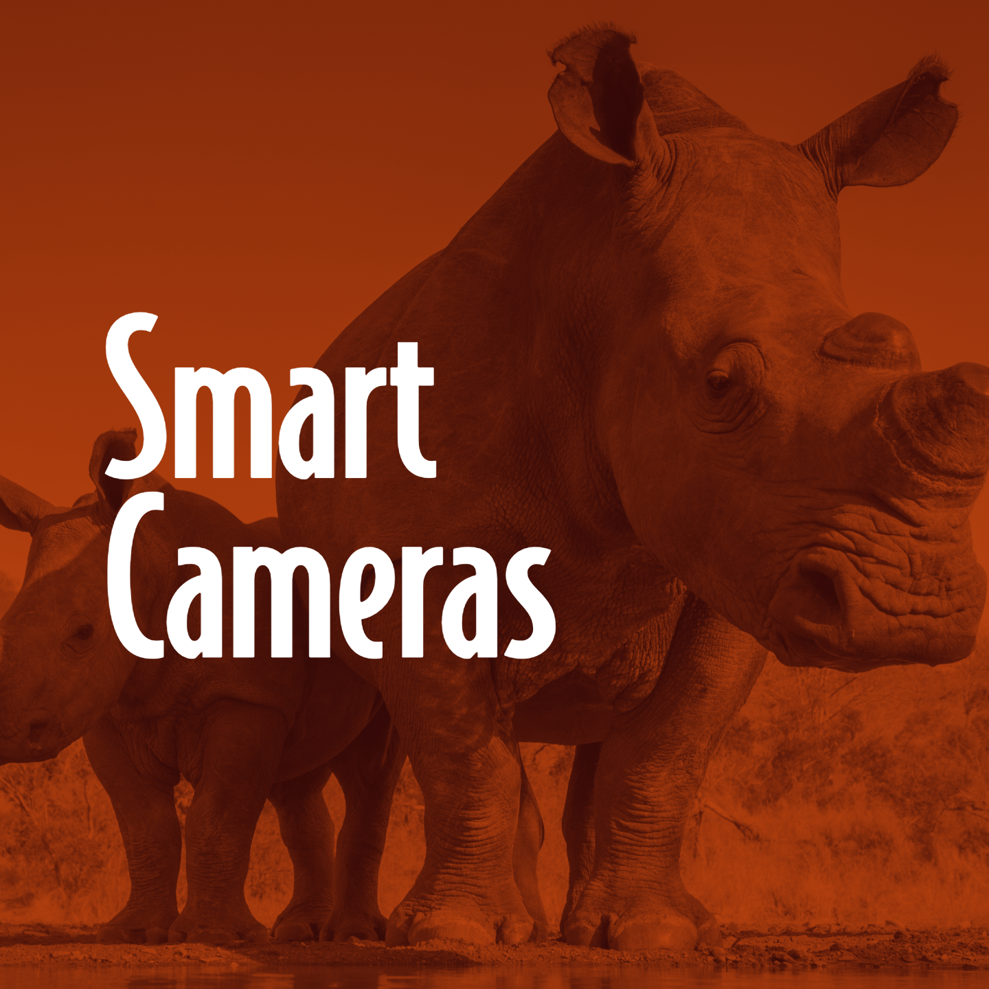 Smart Cameras