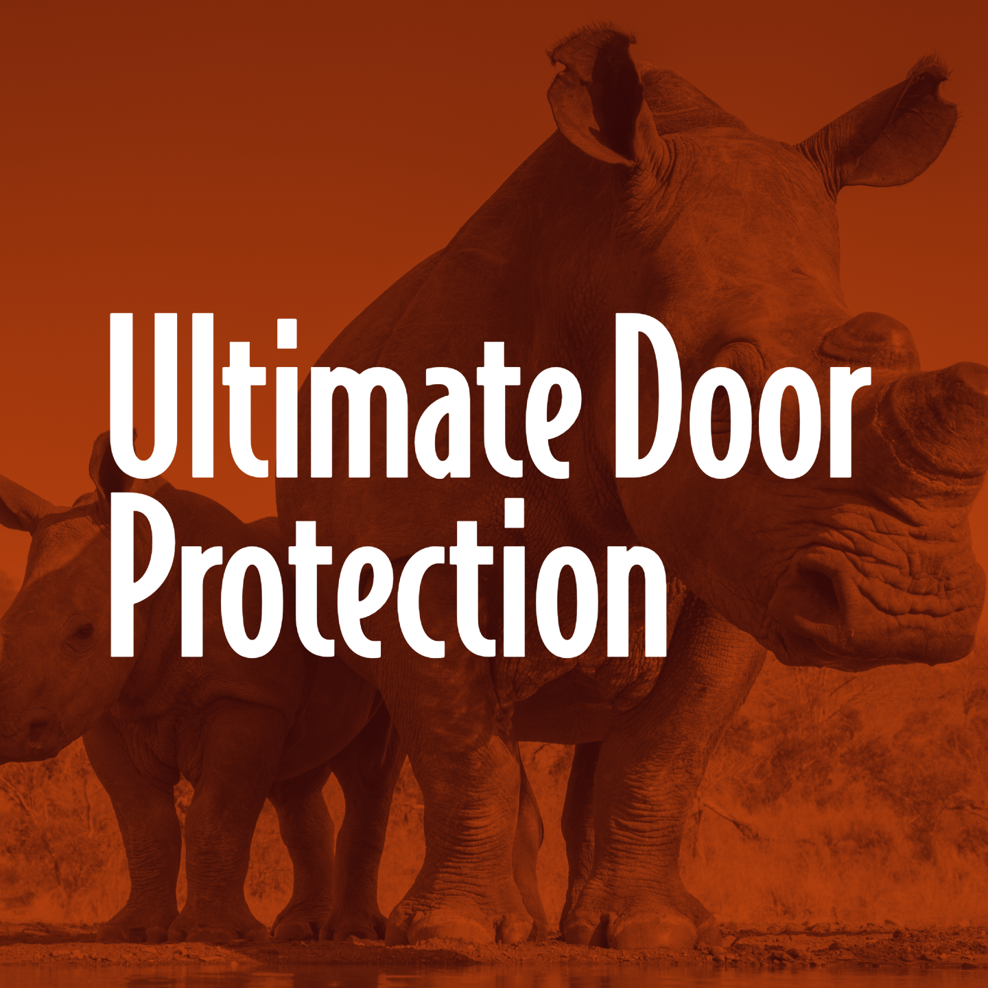 Ultimate Door Protection