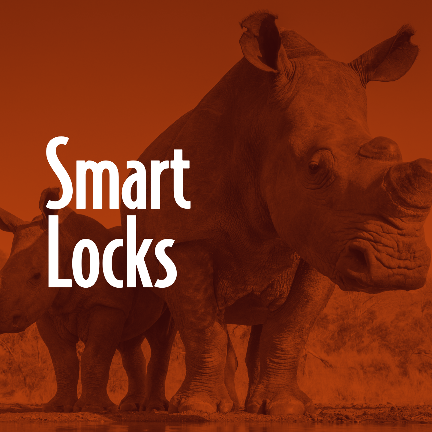 Smart Locks